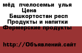 мёд, пчелосемьи, улья › Цена ­ 1 300 - Башкортостан респ. Продукты и напитки » Фермерские продукты   